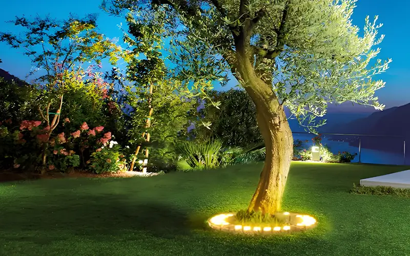 Qué es un anillo de luz LED para palmeras