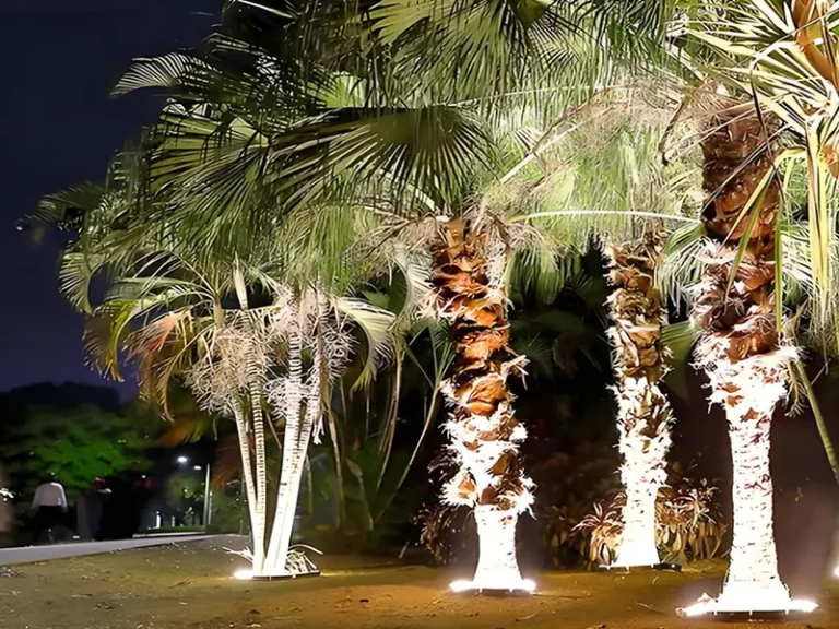 Kunnen Palmboomringlichten het hele jaar door buiten blijven