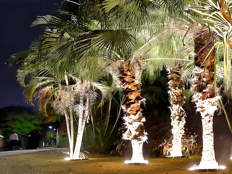 Can Palm tree ring lights stay outdoors year-round