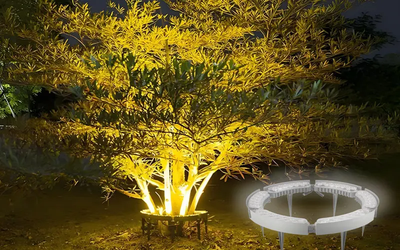 landscape outdoor tree lighting design with LED uplights for backyard trees